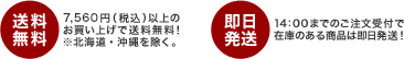 7,350�~�i�ō��j�ȏ�̂������グ�ő��������I���k�C���E����������B14:00�܂ł̂�������t�ō݌ɂ̂��鏤�i�͑��������I