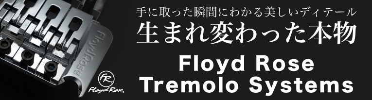 Floyd Rose Original フロイドローズ　オリジナル　クローム