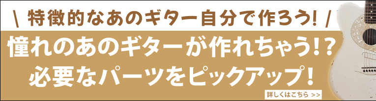 特注アコースティックギター　プチリペア品 特注アコースティックギター プチリペア品 ギターパーツの通販｜GUITAR