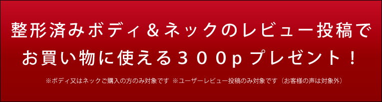 レビューで３００ポイントゲット！