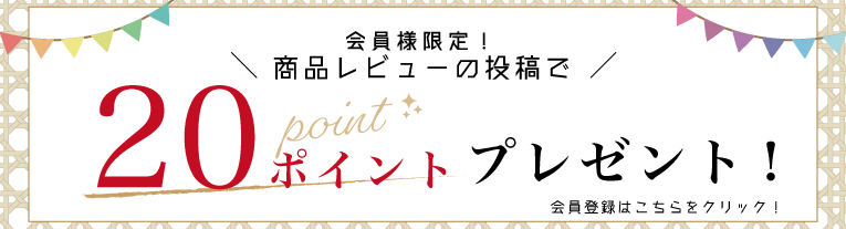 レビュー