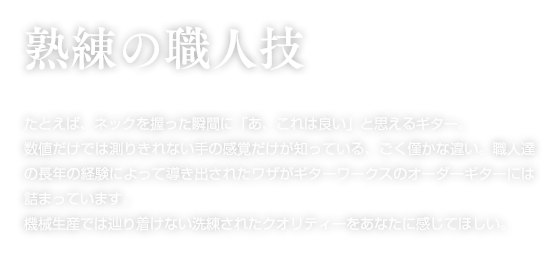 熟練の職人技。たとえば、ネックを握った瞬間に「あ、これは良い」と思えるギター。数値だけでは測りきれない手の感覚だけが知っている、ごく僅かな違い。職人達の長年の経験によって導き出されたワザがギターワークスのオーダーギターには詰まっています。機械生産では辿り着けない洗練されたクオリティーをあなたに感じてほしい。